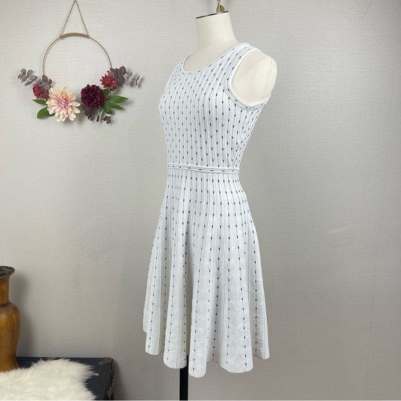 Milly Vertical Dot Flare Dress in Ivory & Black size P 0-2 - Picture 2 of 16